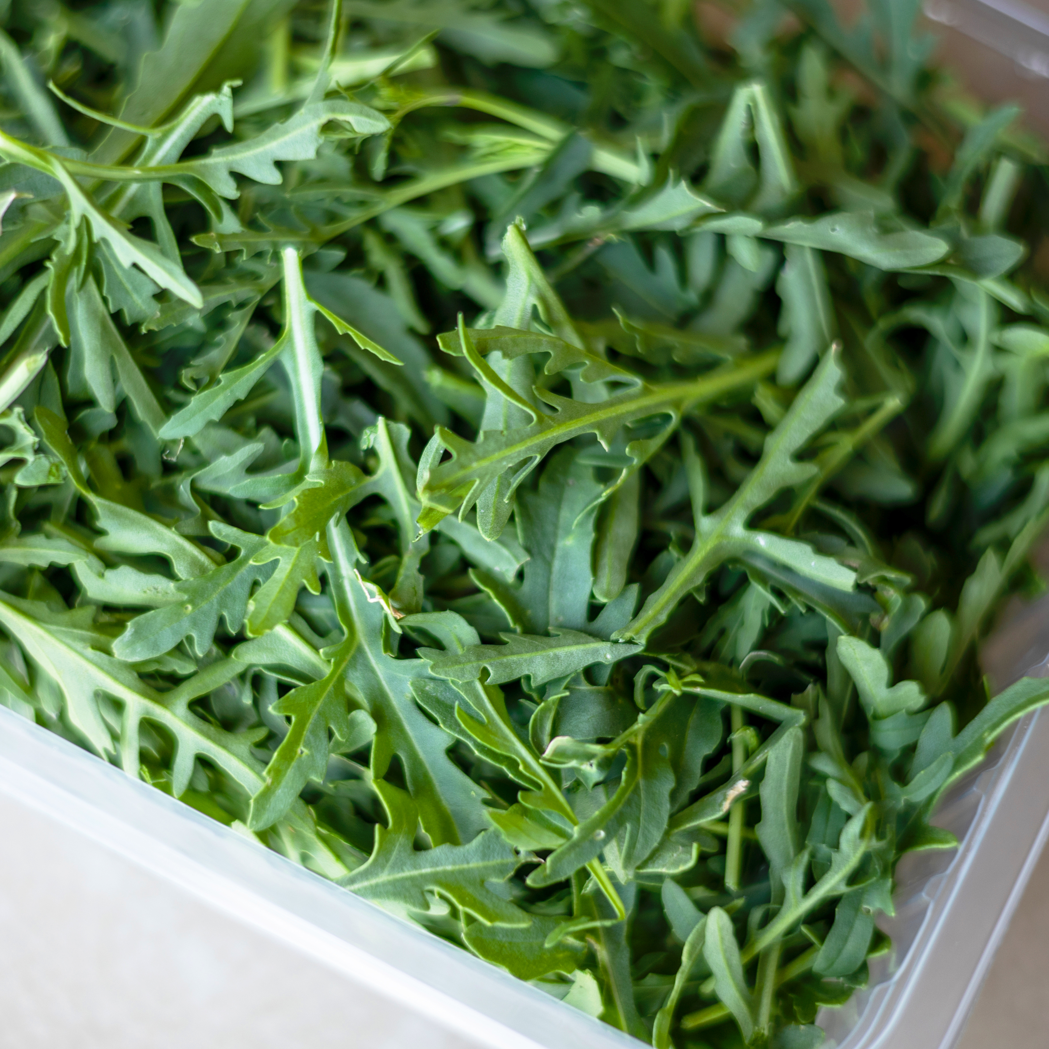 Nexori Group – Verpackungs- und Verarbeitungslösungen für die Schweizer Lebensmittelindustrie